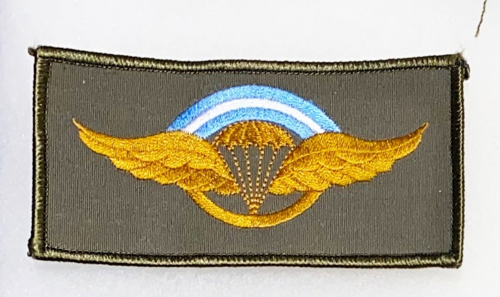 Argentina Para Airborne Wing Badge / Patch