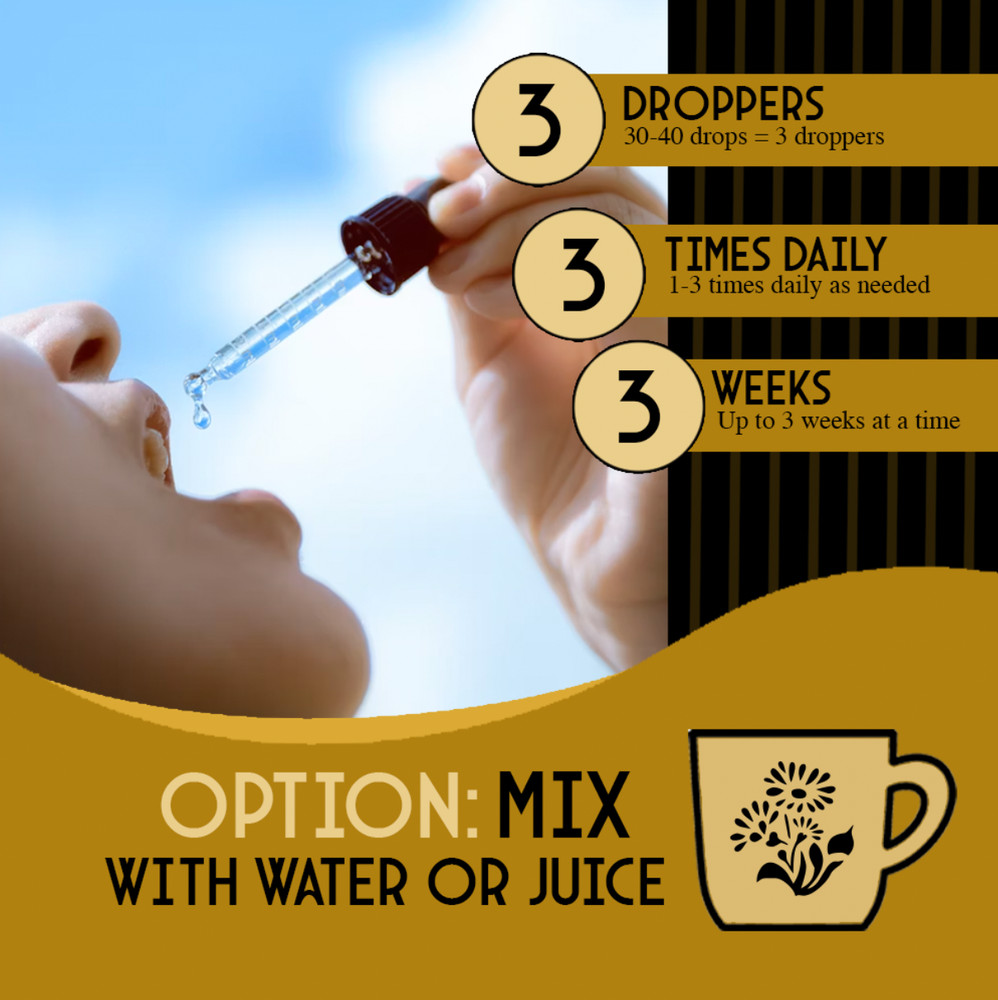 Astragalus Root Extract - Easy Liquid Drops -Deep Immune Support & Vitality-USA