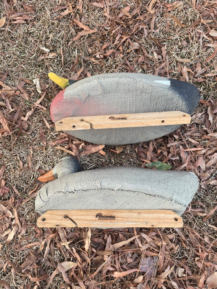 duck decoy