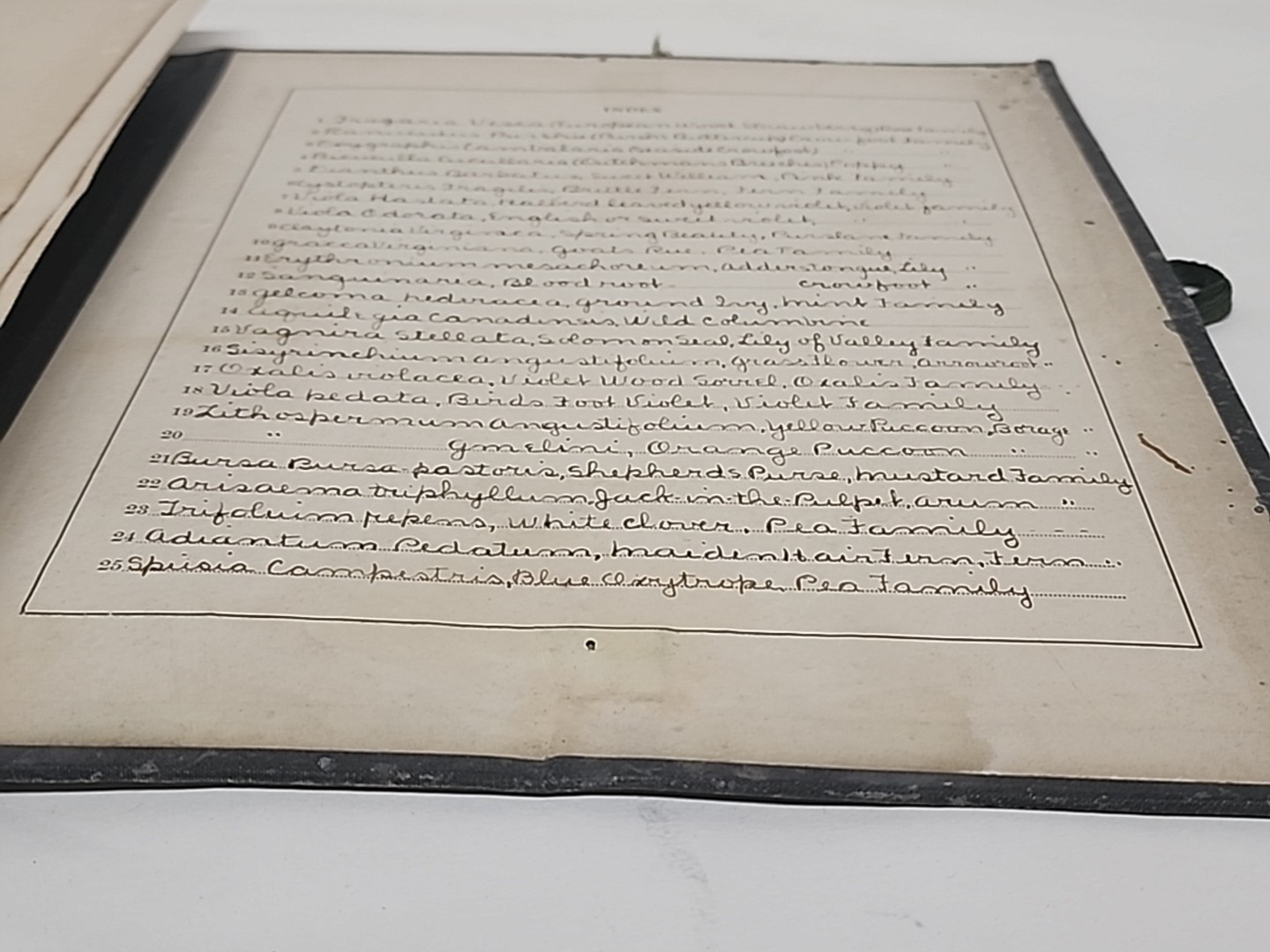 Antique HERBARIUM AND PLANT DESCRIPTIONS Meier Ginn And Company Complete 1907