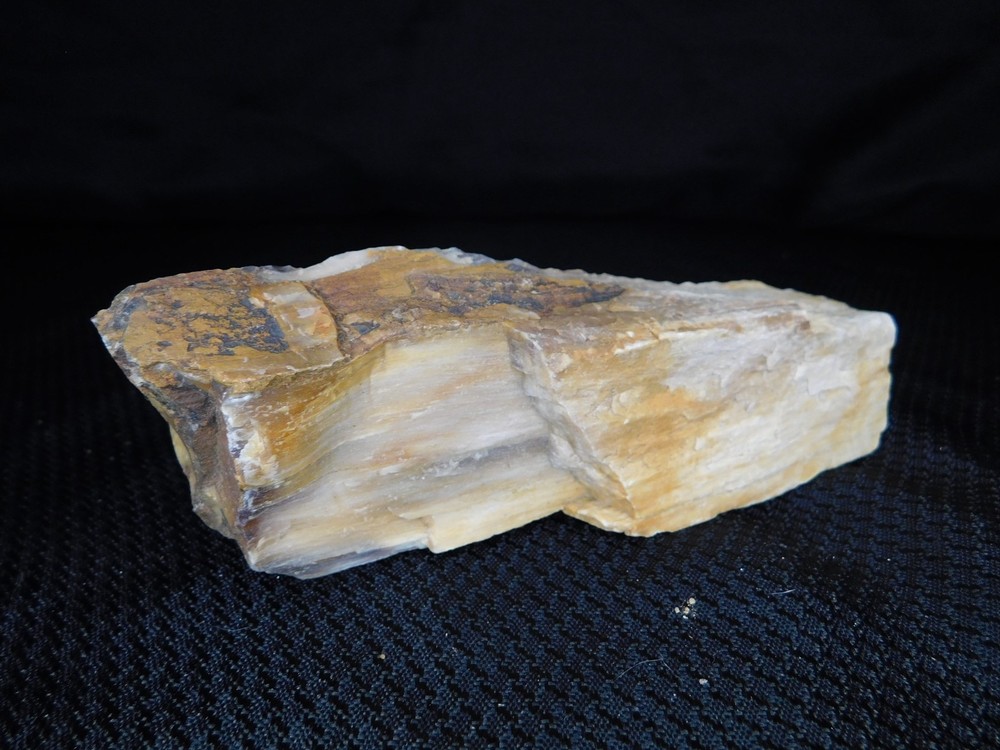 Opalized Petrified Wood Stick 1lb.