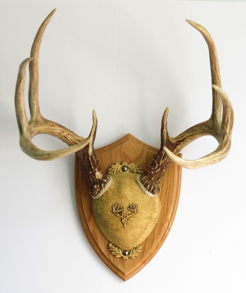 TTW Ultimate Antler Mounting Kit - Medium Oak