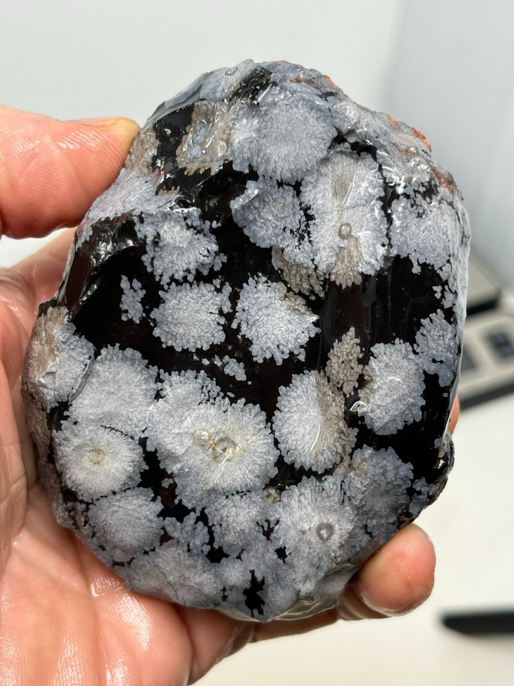 Flower Obsidian (large snowflake) Rough Slabbing Cabbing Chakra Reiki Mexico