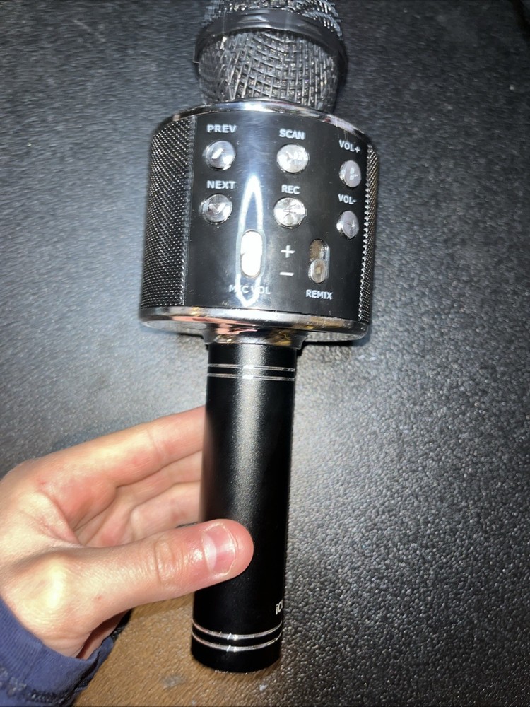iCUBE Karaoke Mic