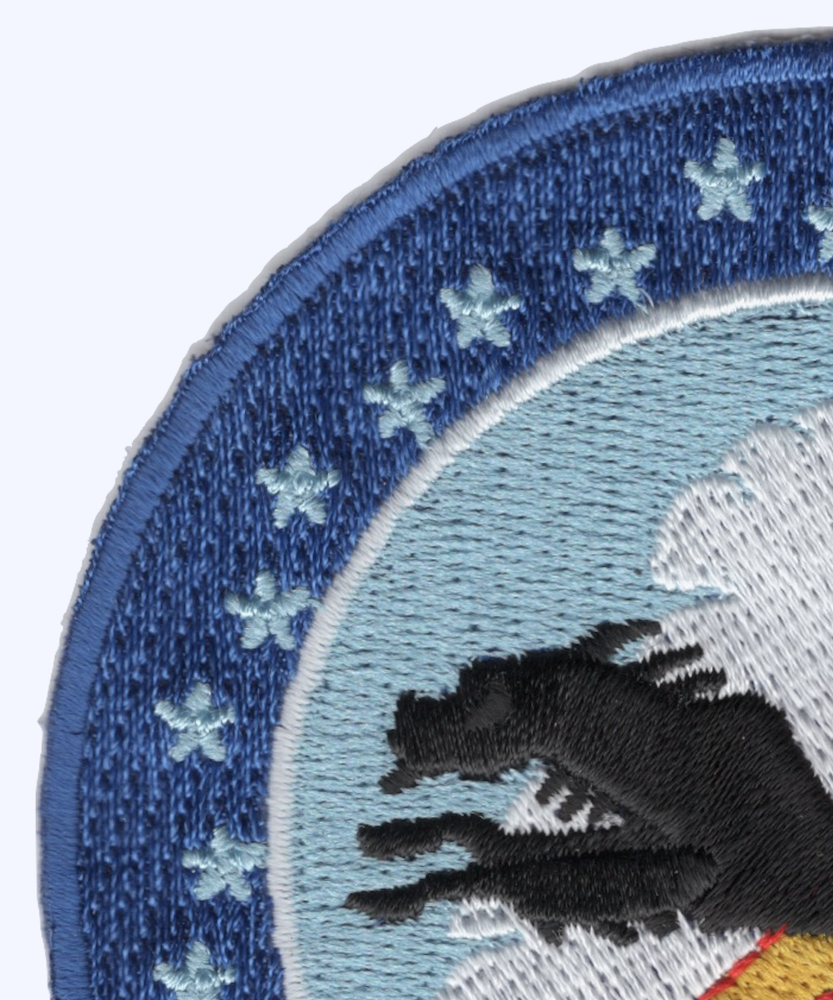 524th Special Operations Squadron Patch