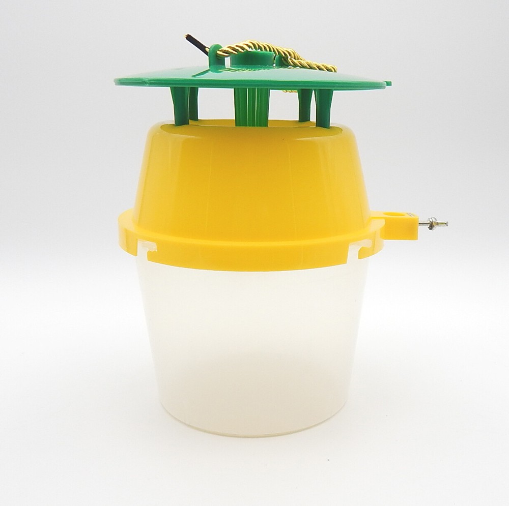 Fall Armyworm Trap with Lure