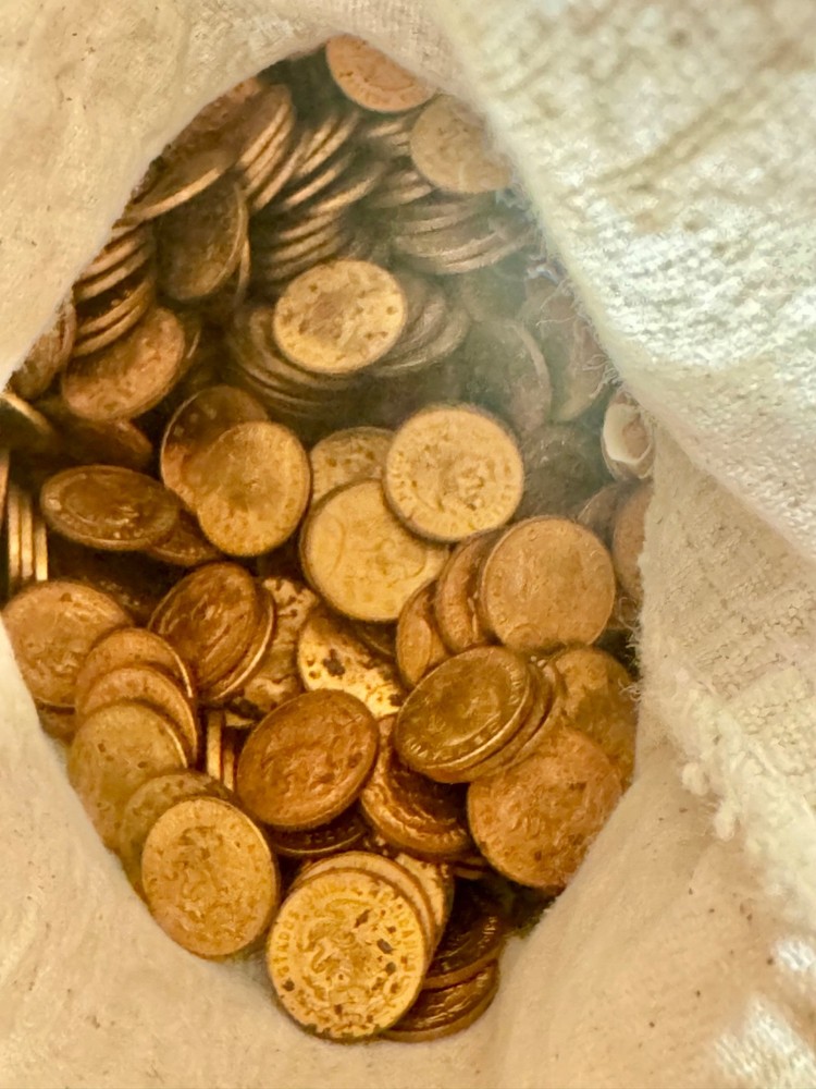 Mexico Cinco Centavos Coin