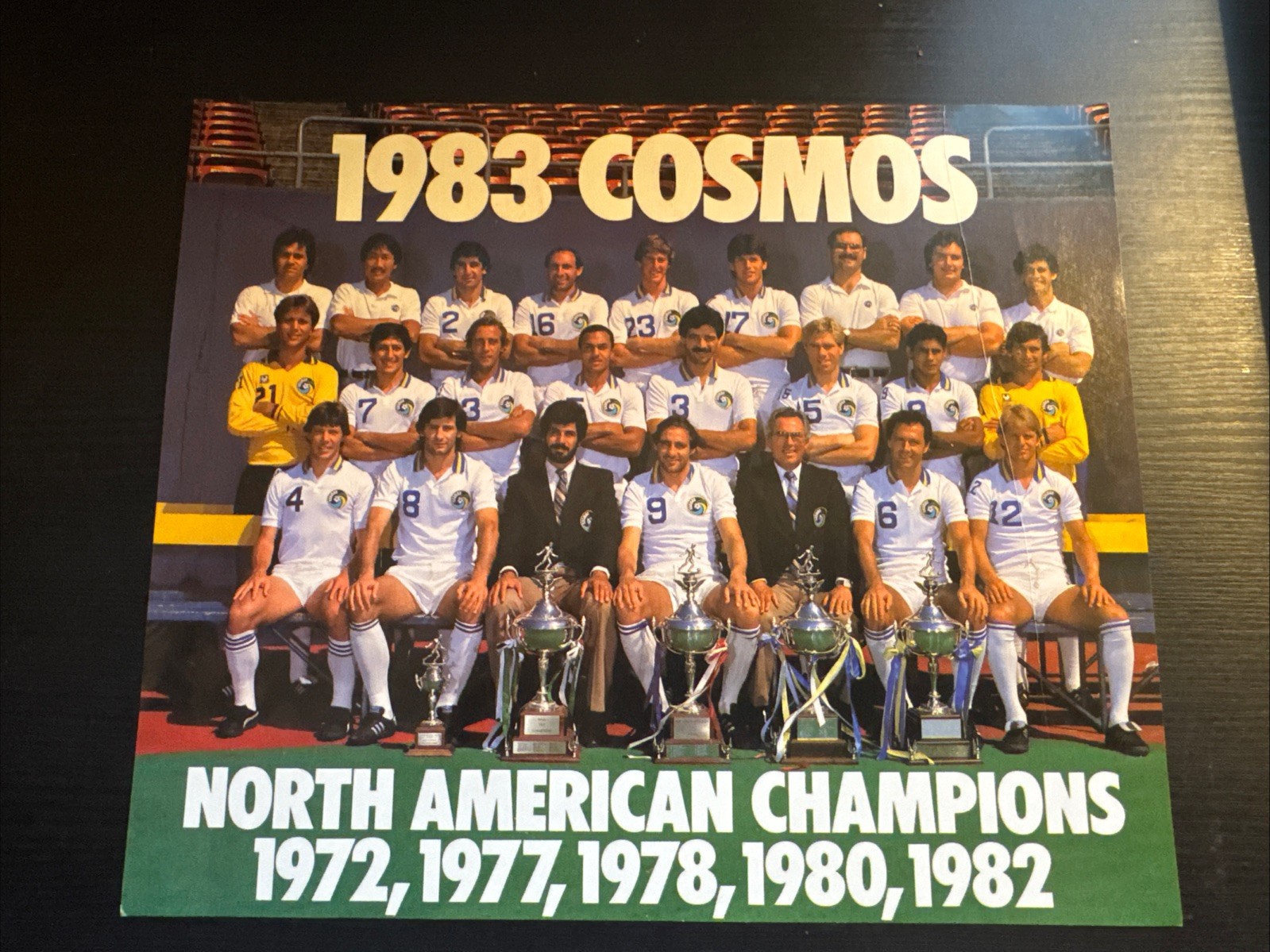 NASL 1983 New York Cosmos Team Picture Color 8 X 10 Photo Picture
