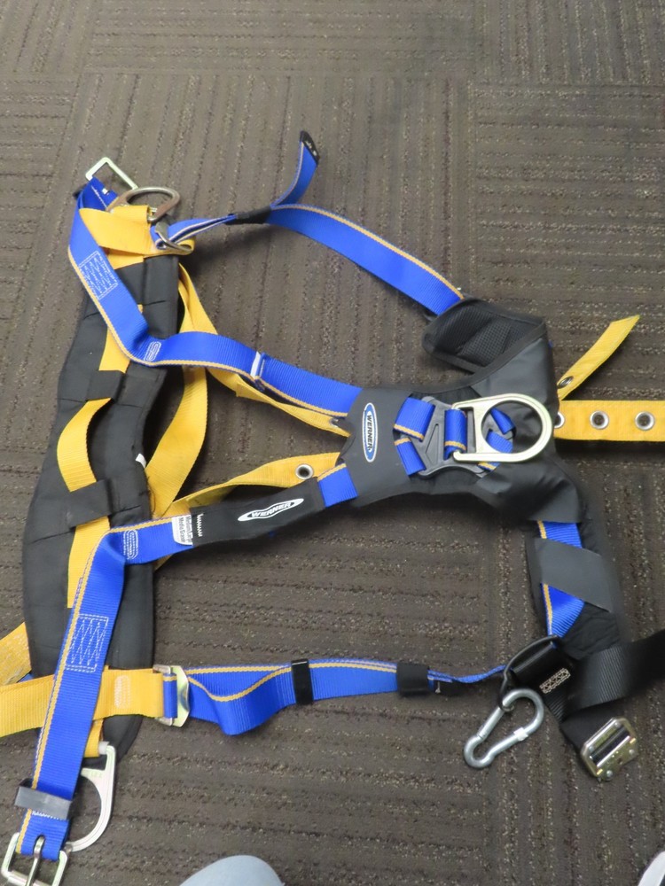 Notch Gecko - Tree Spikes -