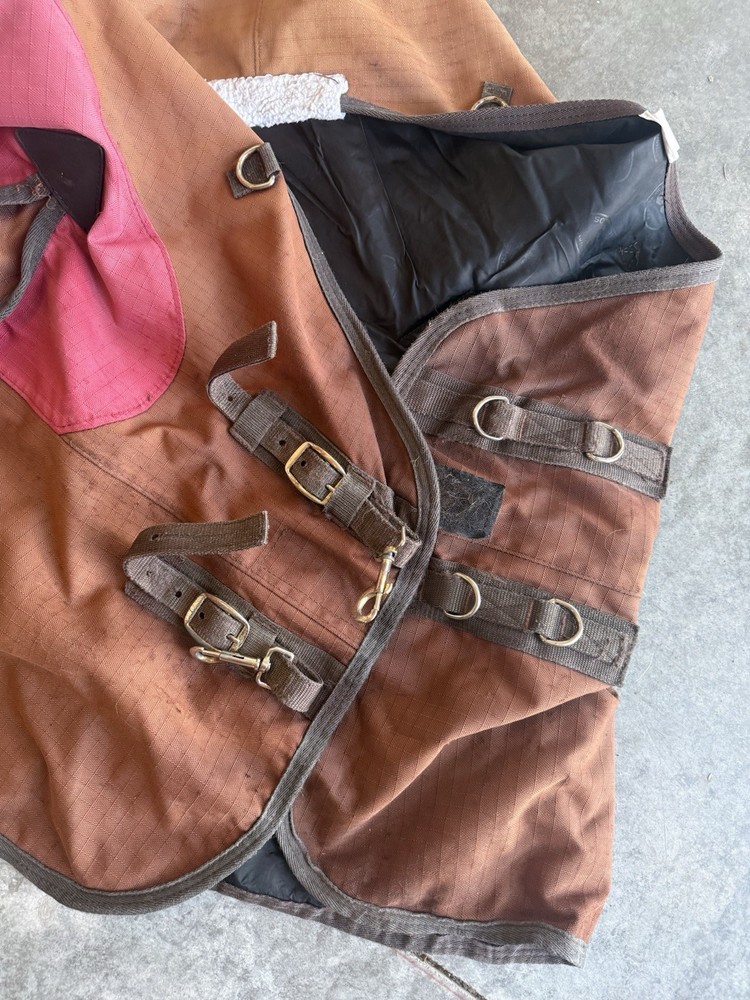 Schneider’s Storm Shield Turnout Sheet 70”