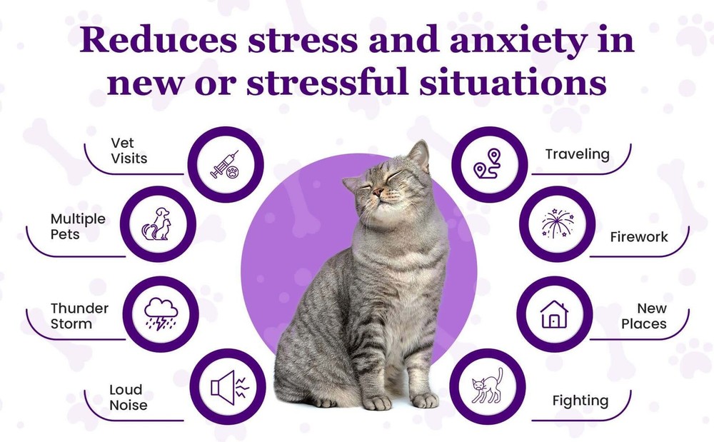 Purrfect Calm Cat Diffuser – Natural Odorless Calming Solution for Stress Relief