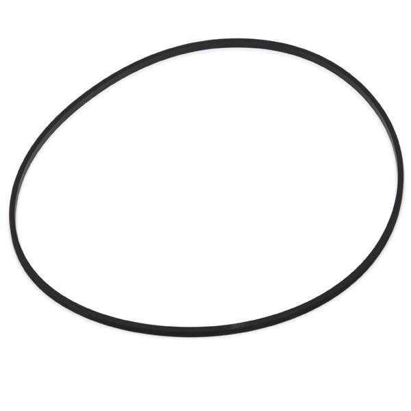 Paramount Water Valve Base O-Ring 005-302-0100-00