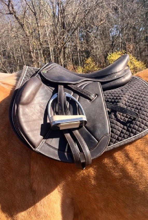 HDR jump saddle
