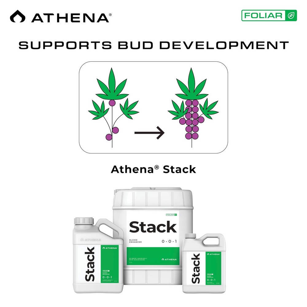 Athena Stack Bloom Booster Flowering Enhancer - Natural Kelp Hydroponic Nutrient