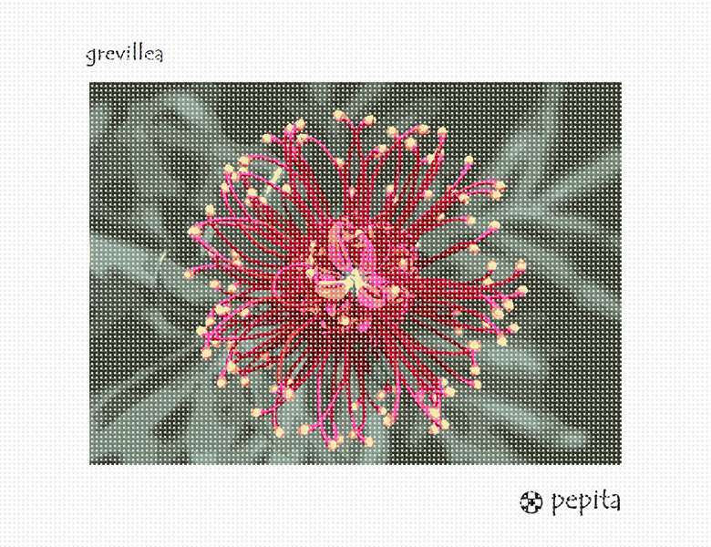 Grevillea  Needlepoint Kit or Canvas
