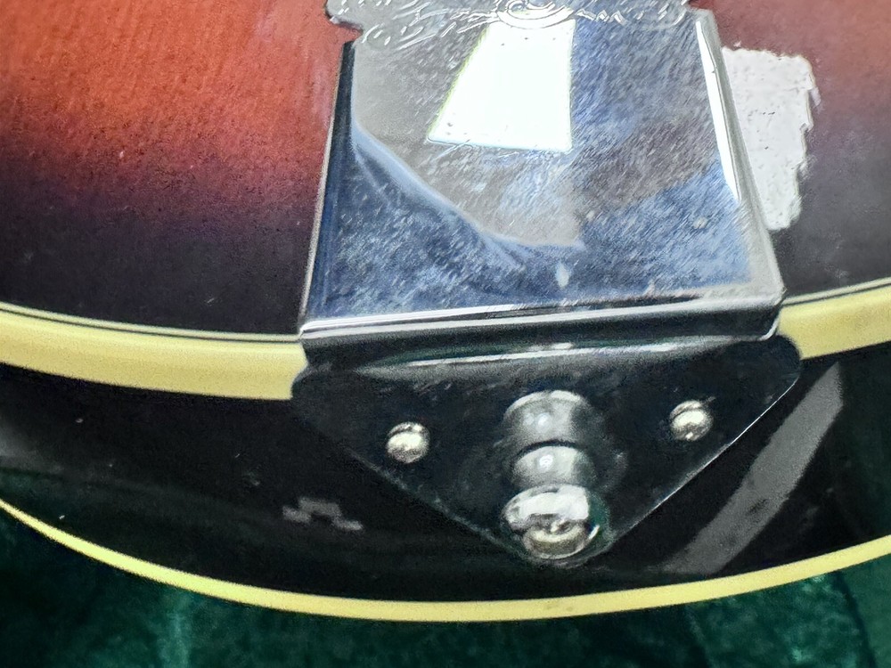 OSCAR SCHMIDT OM 10, Hard Case Great Shape