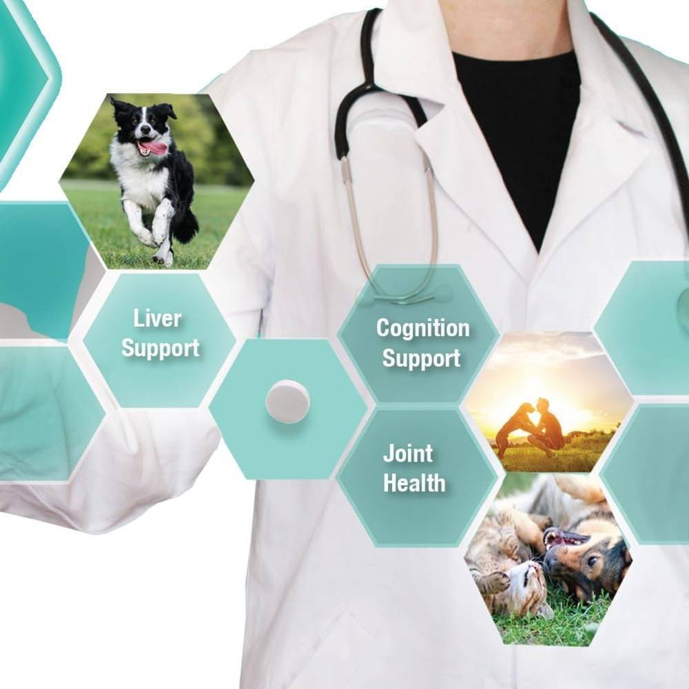 Denestra SAMe 200 mg (60 Tablets)