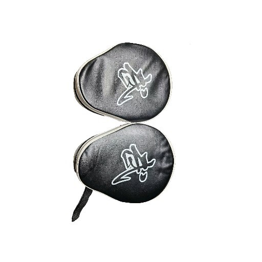 boxing mitts training