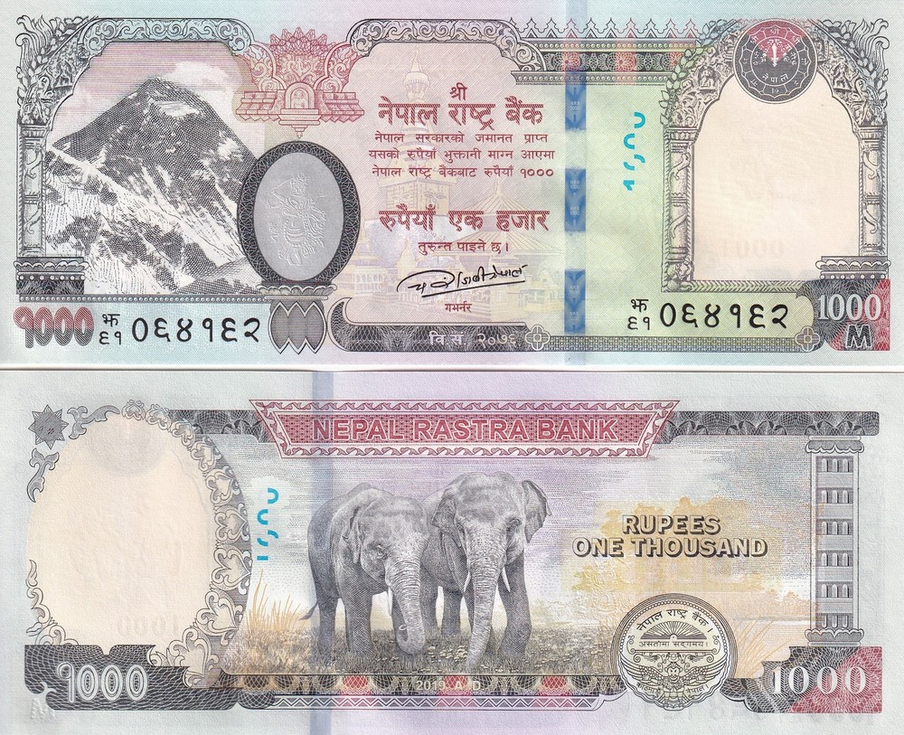 Nepal 1000 Rupees 2019 P 82 UNC Elephant