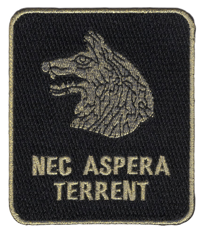 27th Infantry Regiment Nec Aspera Terrent Patch