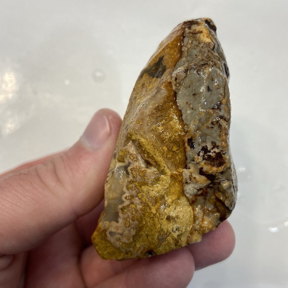 Calico Agate Crazy Lace Agate Variation Rough Stone 8.10 Oz