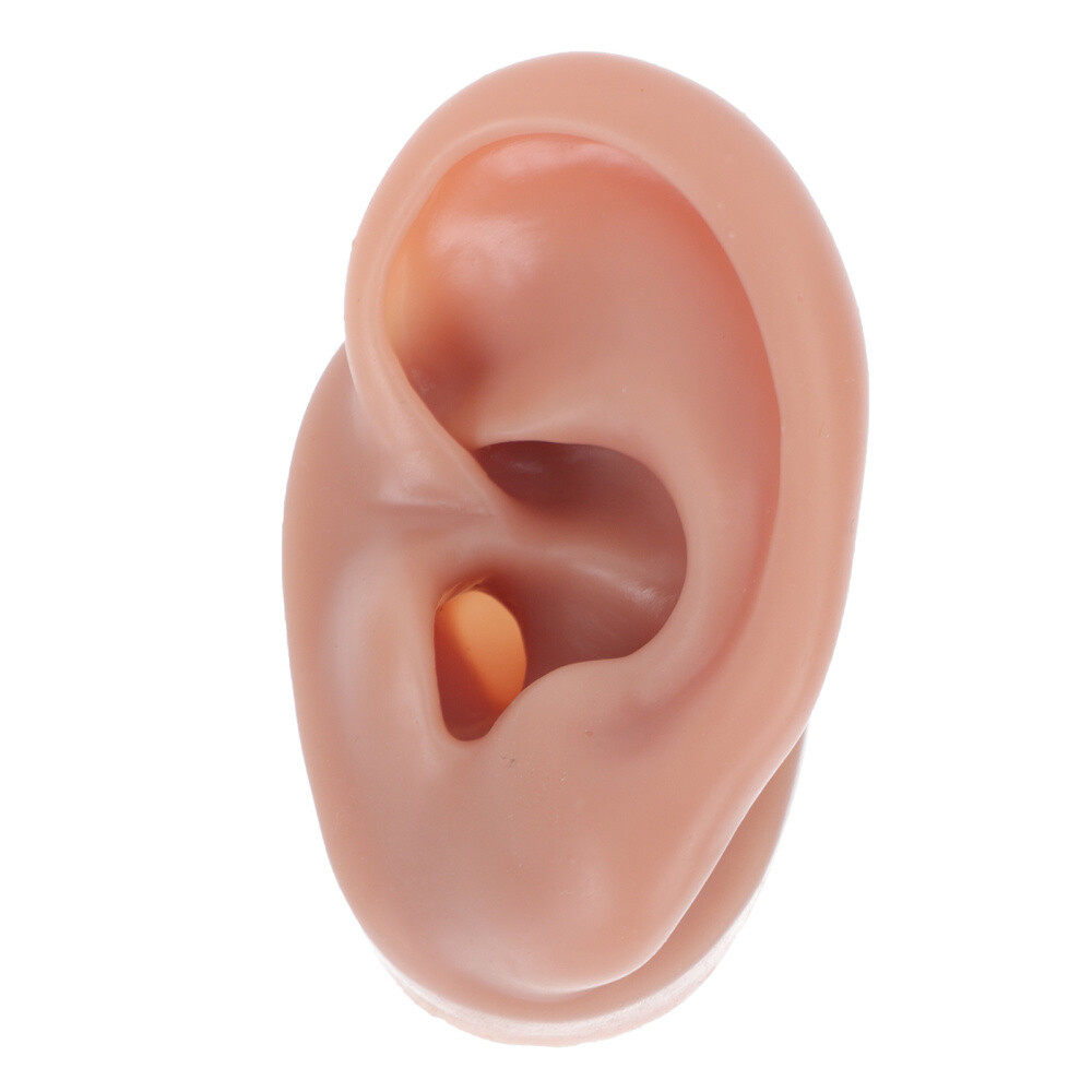 Simulation Human Ear Model ear model for teaching Ear Model Silicone Ears