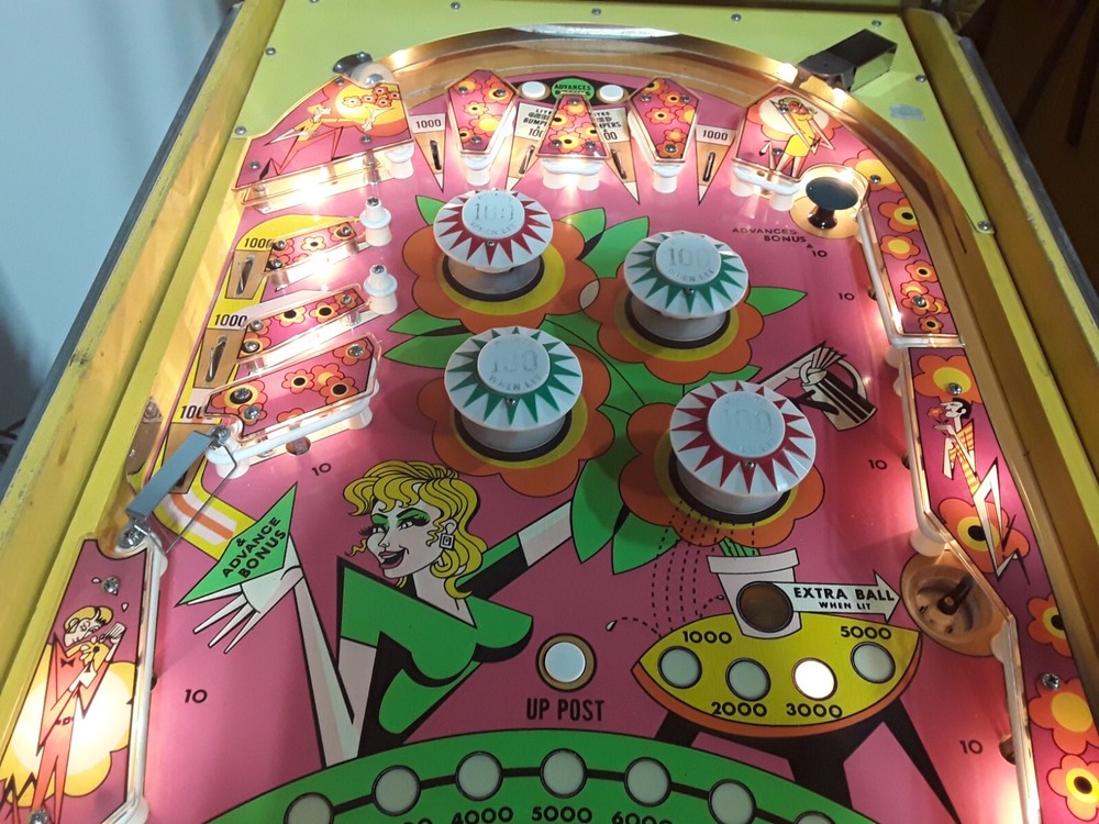 Zip-A-Doo Pinball Machine by Bally