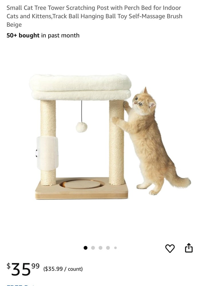 New cat scratching post bed
