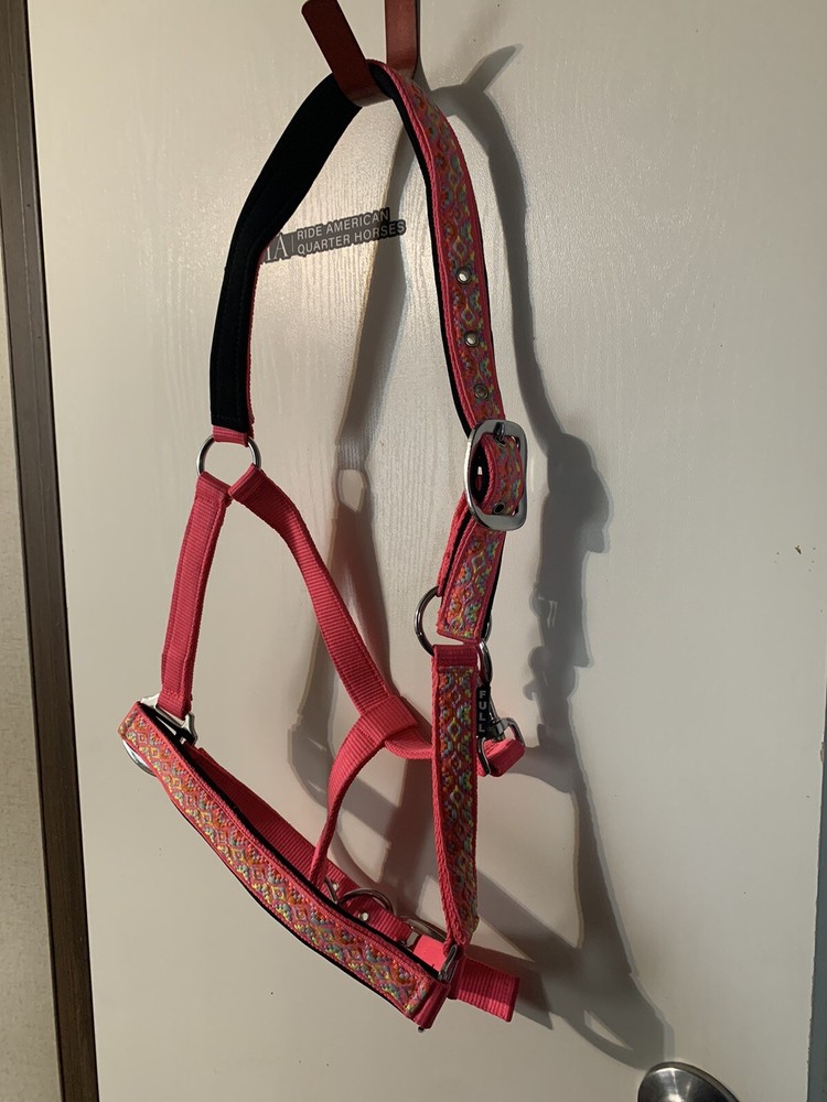 horse halter nylon Design