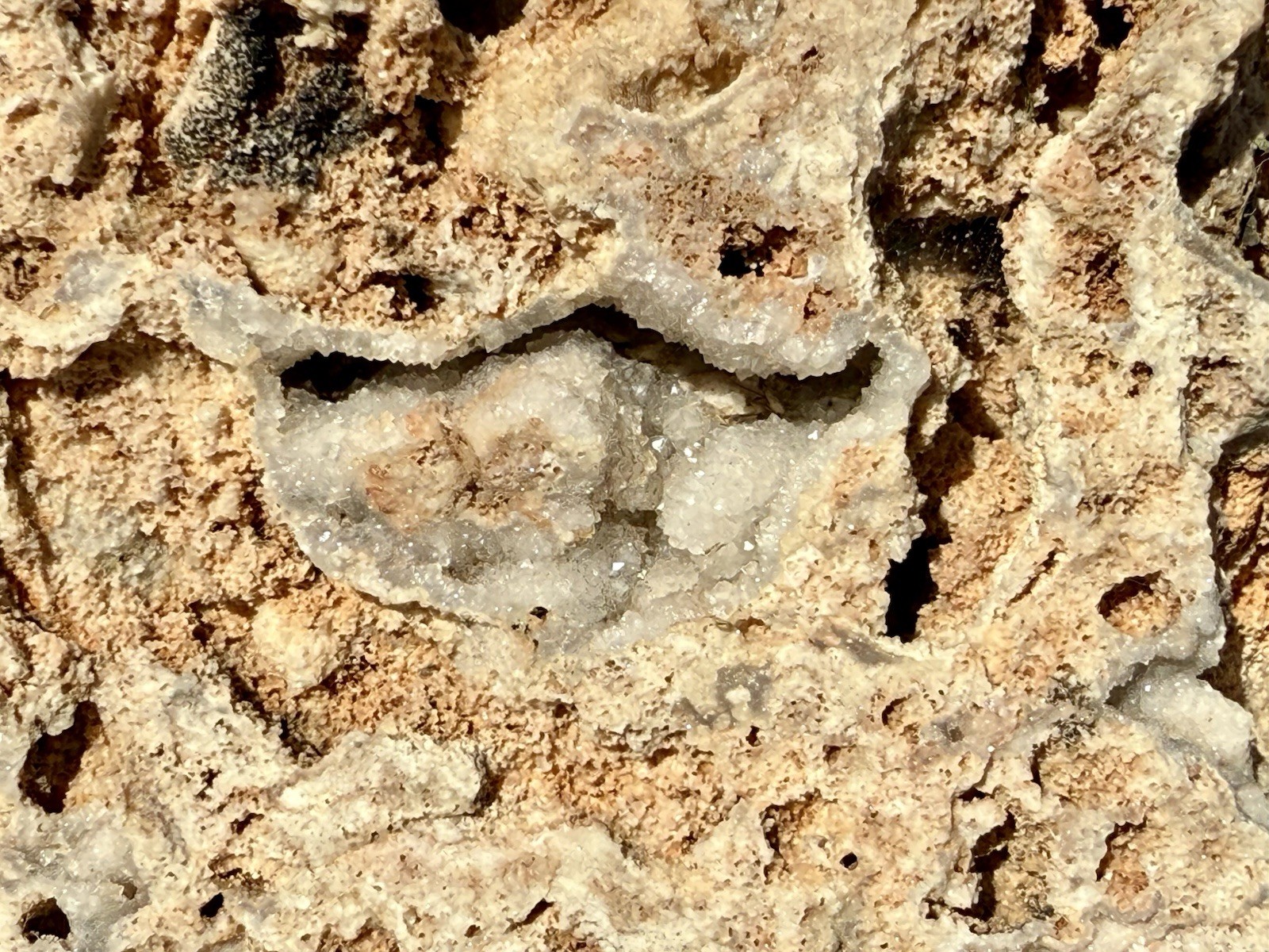 GORGEOUS* 7 Lb Crystallized Fossil Coral Reef Rock~Brilliant Druzy Sparkle