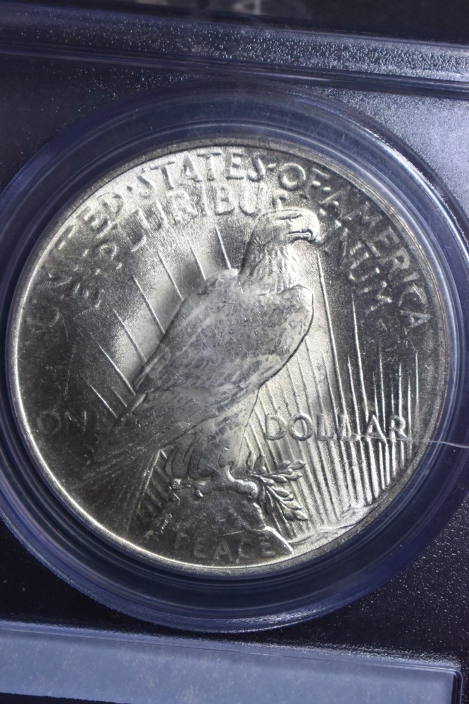 1924 Peace $1 PCGS MS64