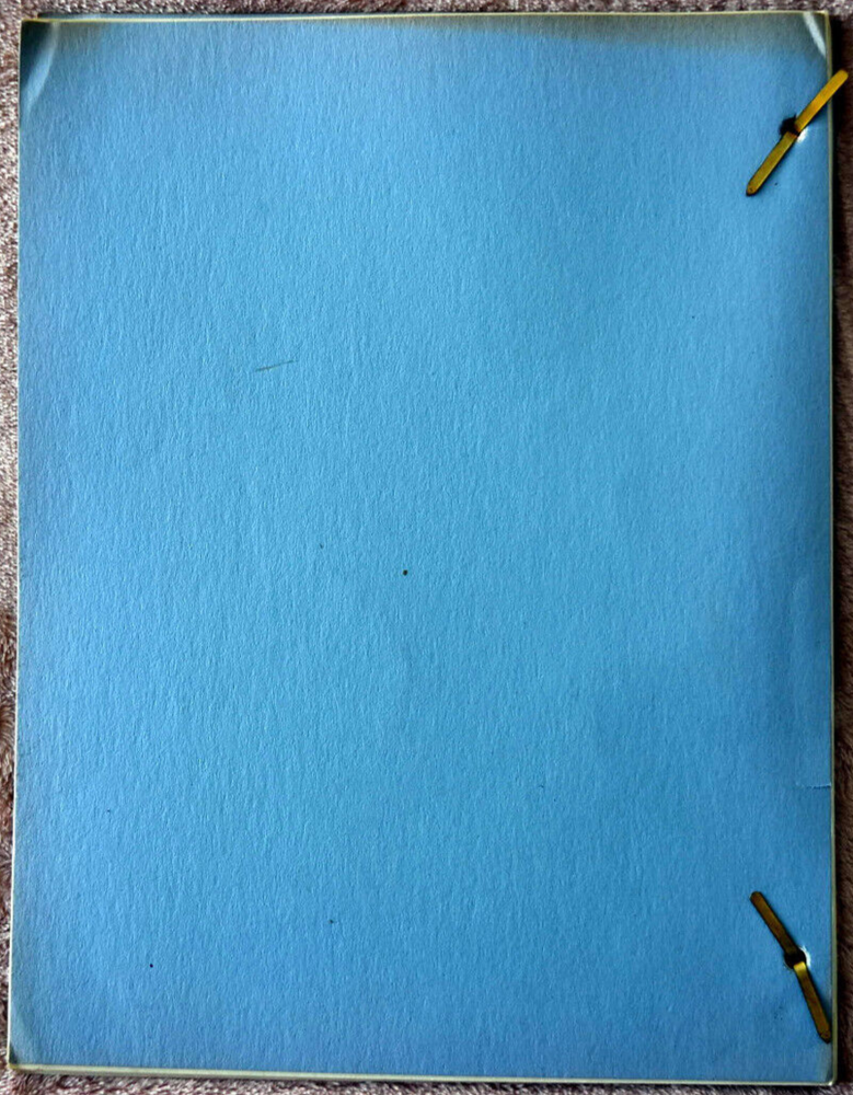 Dec/27/1966 The Felony Squad "The Desperate Silence" Original Screenplay Script