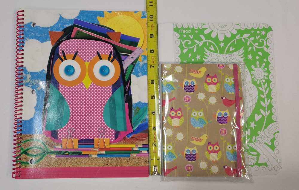 Set of 3 Lined Owl Notebooks Different Sizes & Styles