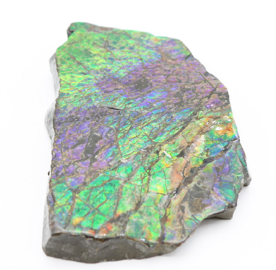 Stunning IRIDESCENT Fossil AMMOLITE Slab Reflective RAINBOW Mineral Specimen