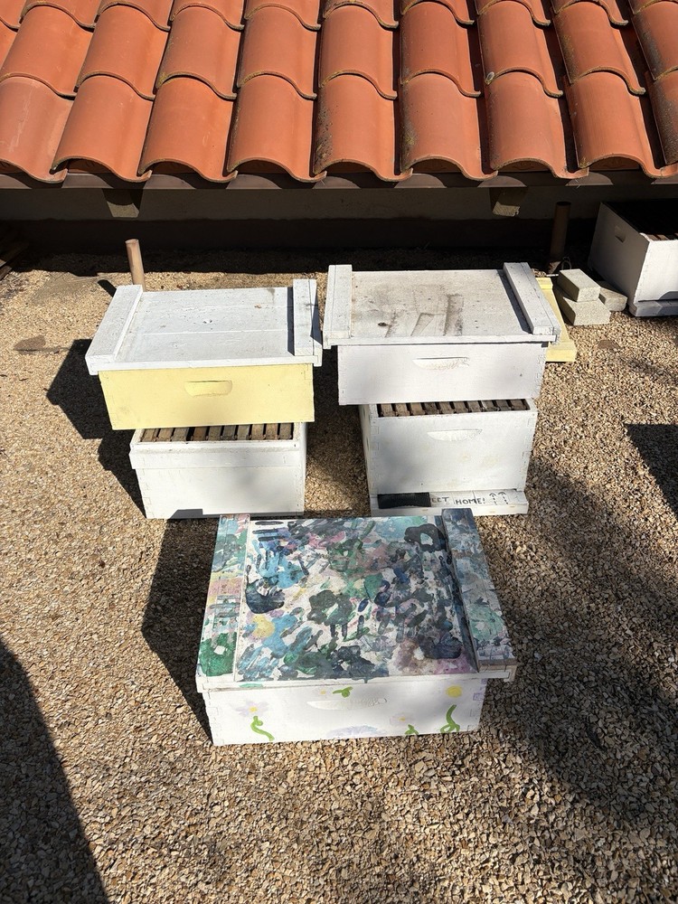 Deep Honey Super / Deep Box  Assembled/Painted-for Bee Hive w/ Frames/Foundation