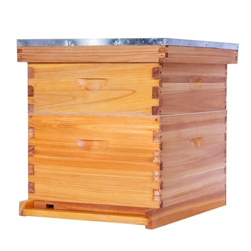 10 Frame Bee Hive,Beeswax Coated Beehive Kit for Bee Keeper,Complete 2-Layer