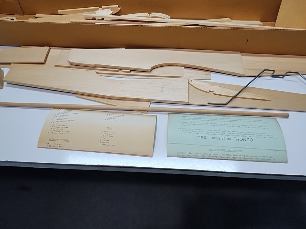 DAVE ROBELEN S PRONTO MODEL PLANE