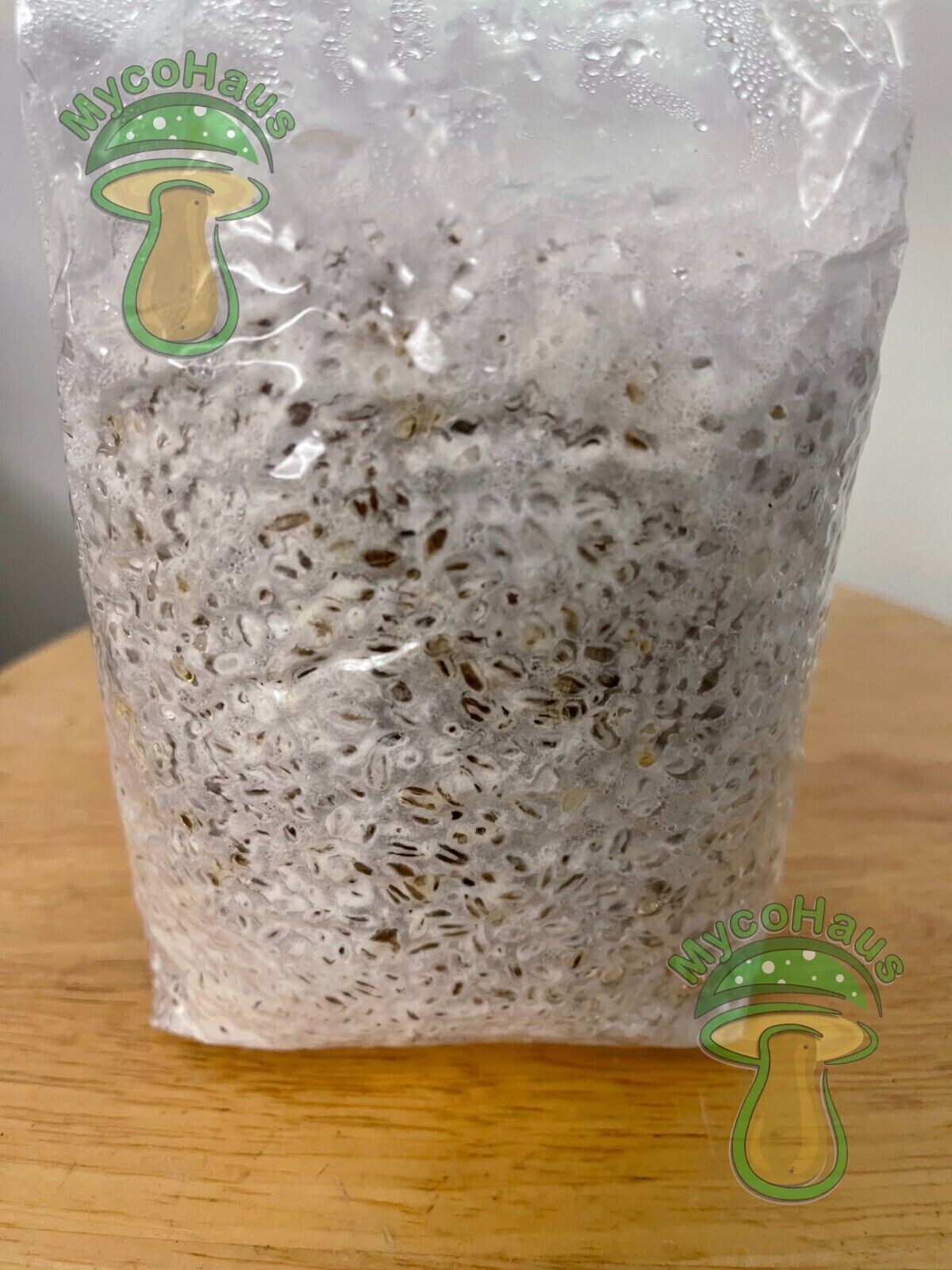 12 LBS rye grain mushroom grow kit use with spores to grow edible mushrooms