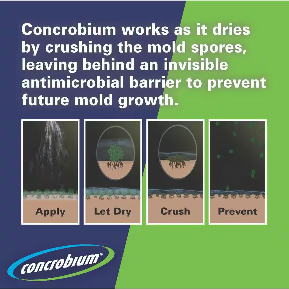 1 Gal. Mold Control