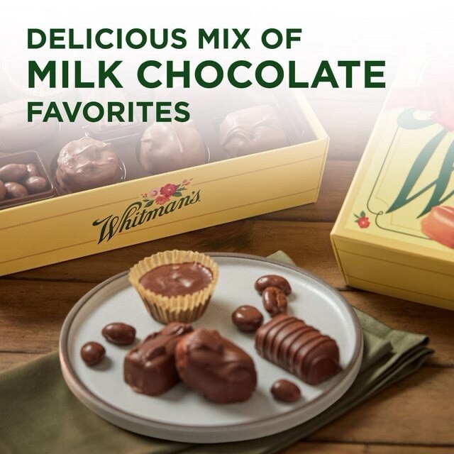 2 BOX Whitman's Sampler Chocolate Gift Box Assorted Milk Chocolates 10oz