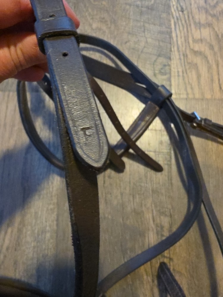 fancy stitched Headstall