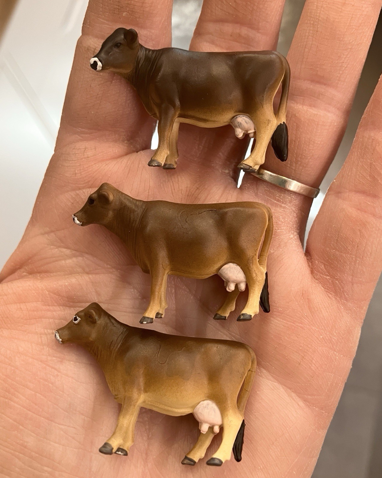 Custom CM Ertl 1:64 Lot Of 12 Jersey/Brown Swiss Milk Cows Cattle Farm Scene