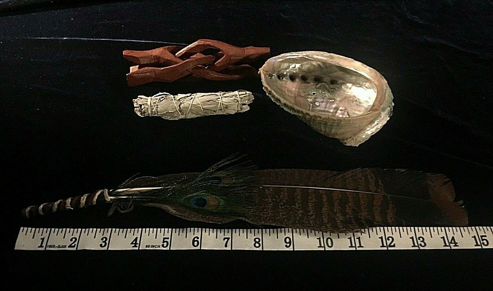 COMPLETE SMUDGE KIT ABALONE SHELL STAND SAGE FEATHER ENERGY CLEANSING CLEARING