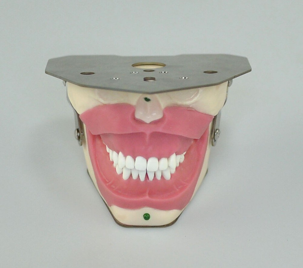Dental Anesthesia Tooth Extraction/Removal Practice Model Dentist Training