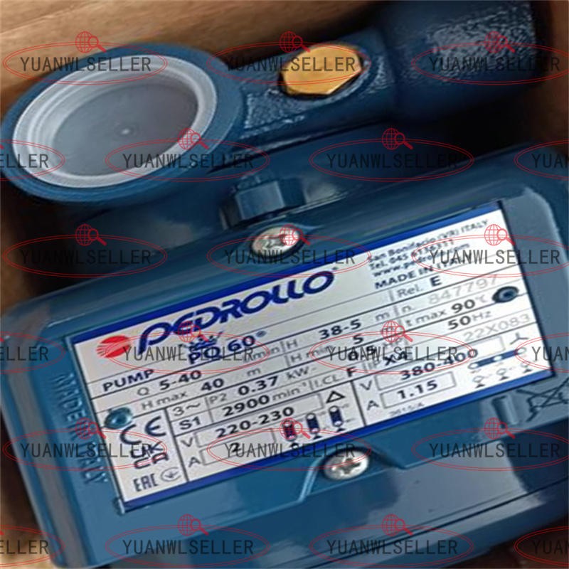 1x NEW PEDROLLO PQ60 380V Water Pump