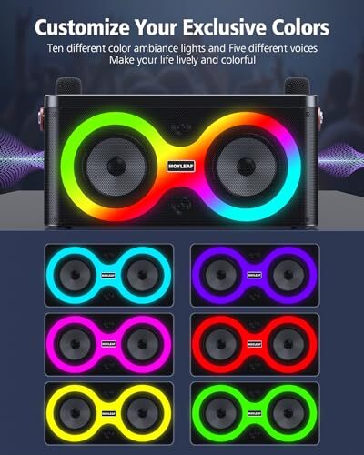 Karaoke Machine, Portable Bluetooth Speaker with 2 Wireless Microphones