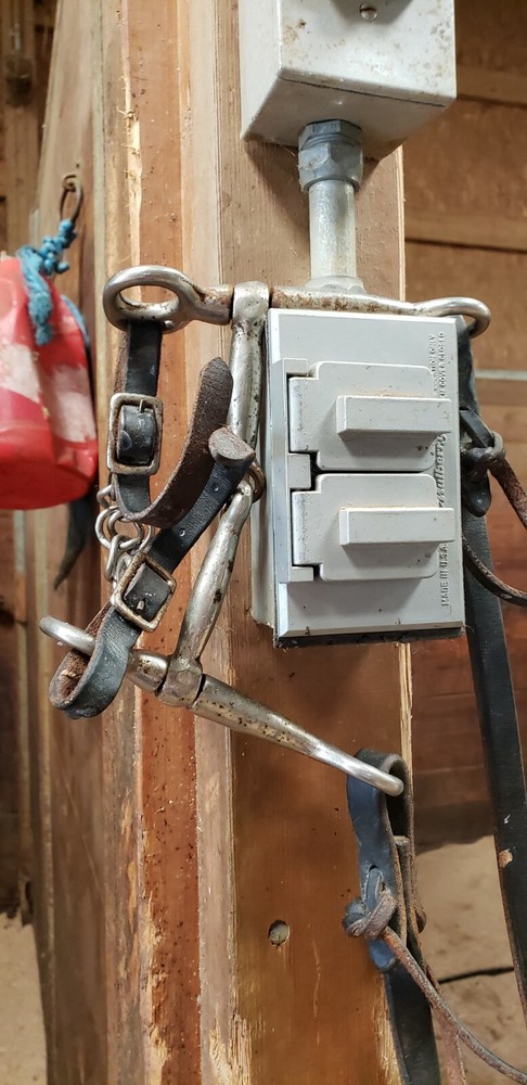 Western leather split reins with a tom thumb bit