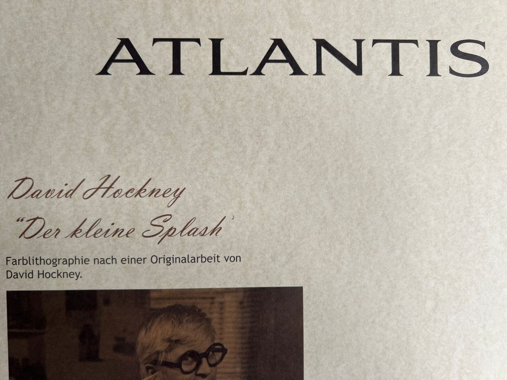 David Hockney Lithograph Handmade COA Original Signed Op Numbered In Pencil