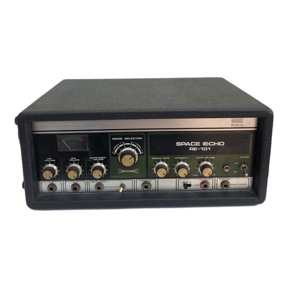 Roland RE-101 Space Echo