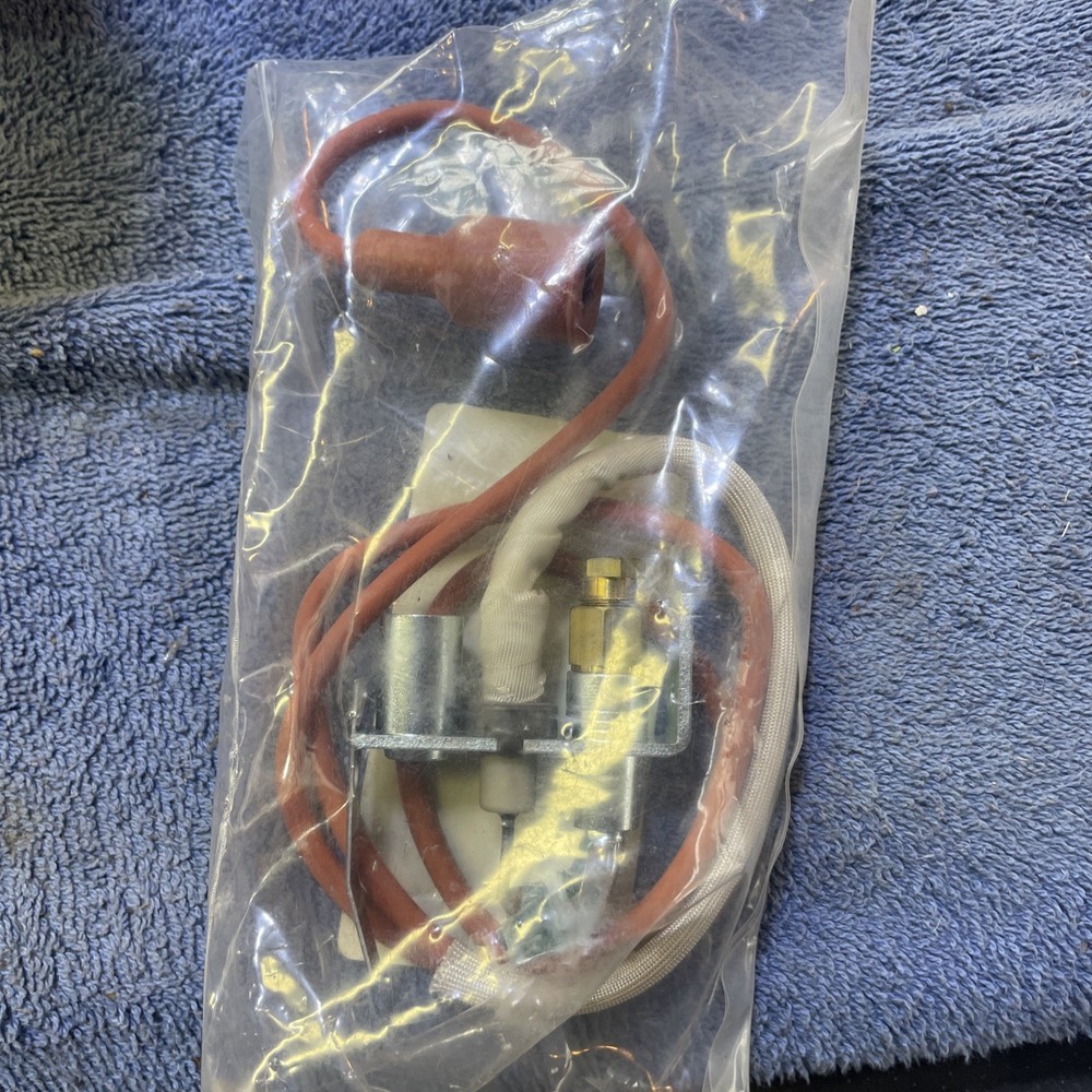 Baso Johnson Controls 8236112/8236050 Pilot Burner Assembly w/ Sensor